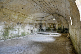 Варна - село Добрина - църква