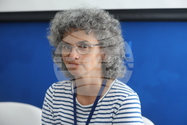 Украйна - Деветнадесета Световна среща на българските медии - Първи панел „Българите по света в медиите“