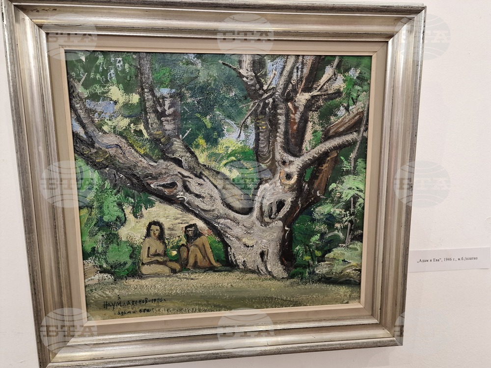 Самоков - Наум Хаджимладенов - изложба