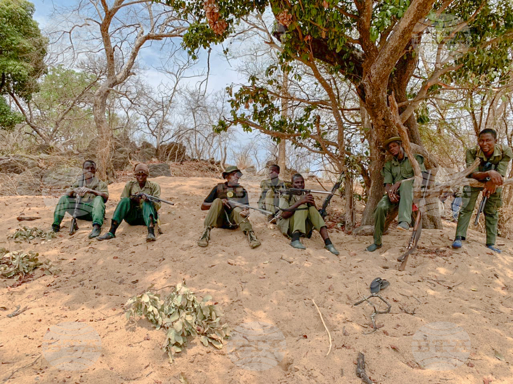 Какво трябва да знаем за бойците на „Ислямска държава“, срещу които САЩ нанесоха въздушни удари в Северозападна Нигерия
