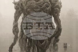 Биенале на илюстрацията 2022 - изложба