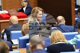 Парламент - заседание