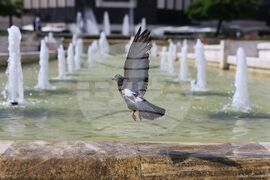 Лято - горещо време