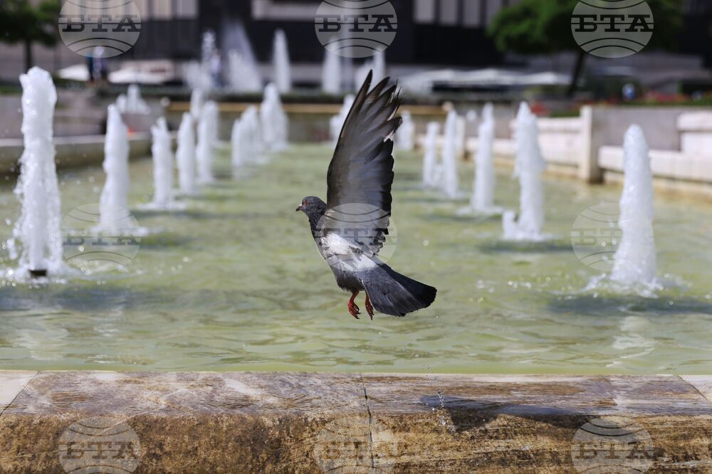 Прогноза за времето