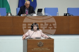 Парламент - заседание - Теменужка Петкова