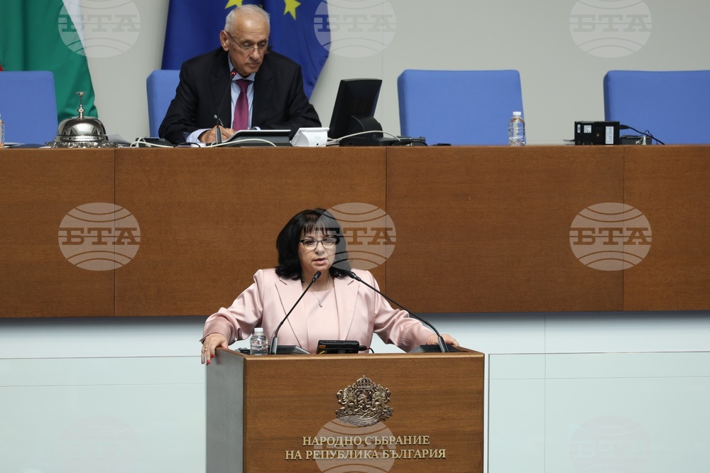 Парламент - заседание - Теменужка Петкова