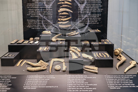 Пловдив - изложба „Магията на Долнослав“