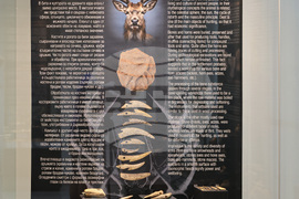 Пловдив - изложба „Магията на Долнослав“