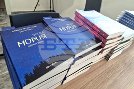 Петрич - Ина Крейн - роман - представяне