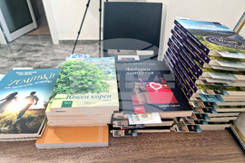 Петрич - Ина Крейн - роман - представяне