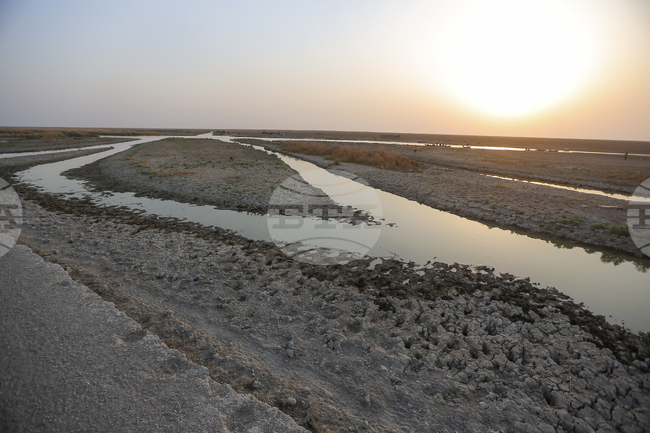 Нивото на река Ефрат е рекордно ниско, което е заплаха за екосистемата ѝ, посочват властите в Ирак