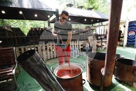 Парк „Слатинска река“ - празник