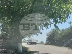 Снимка: Община Шумен