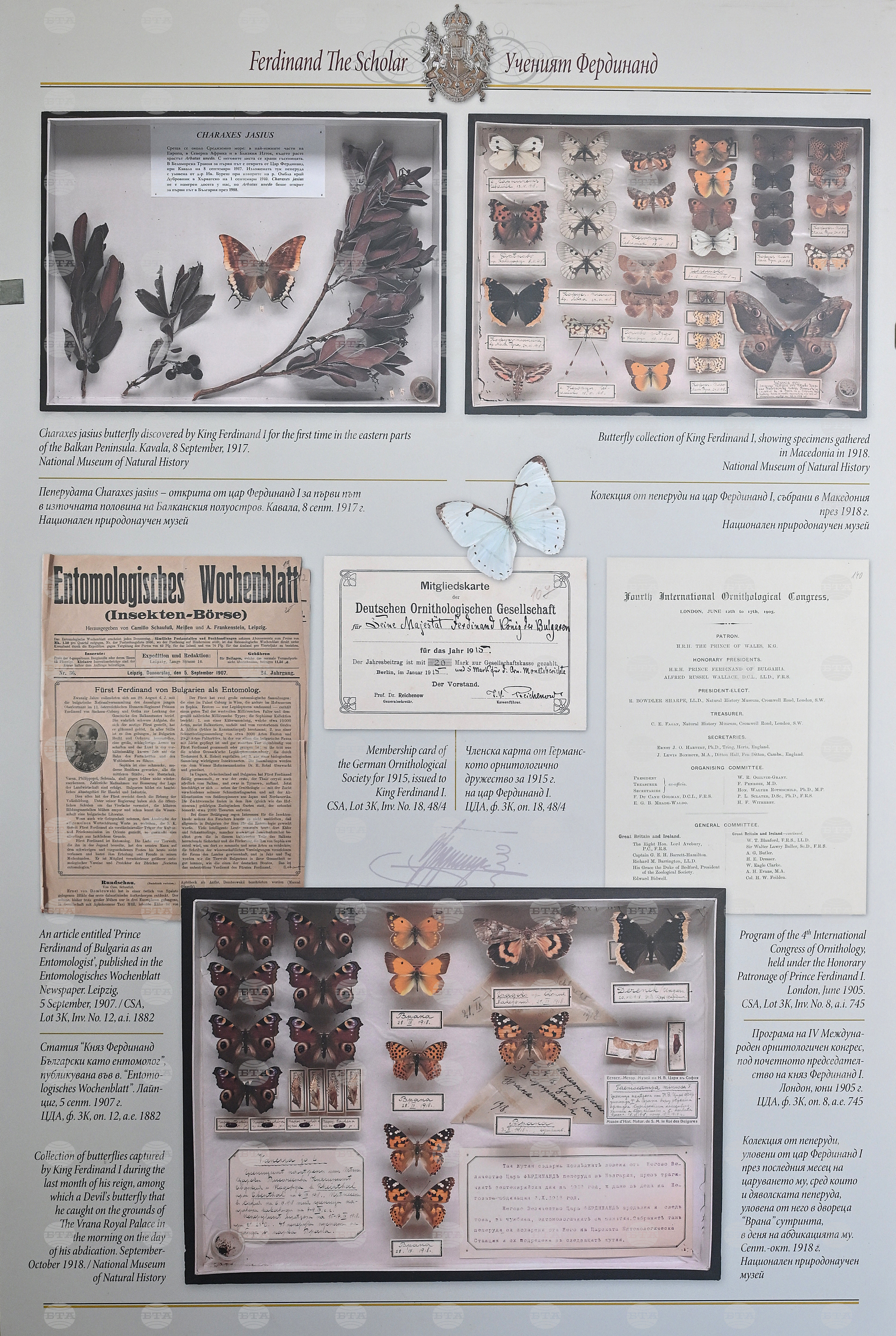 Монтана - изложба „Епохата на Фердинанд“