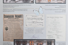 Монтана - изложба „Епохата на Фердинанд“