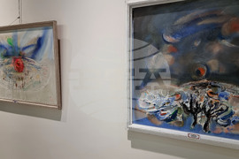 Враца - изложба - Владимир Ганецовски - годишнина