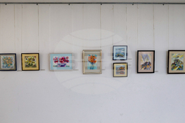 Благоевград - Ивайло Орманов - изложба