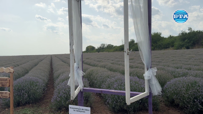 Откриха официално третото издание на Международния фестивал на лавандулата в Чирпан