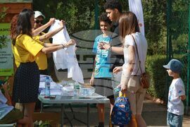 Тенис - турнир