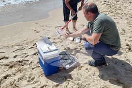 Кранево - авария