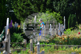 Исперих - Черешова задушница