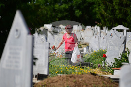 Исперих - Черешова задушница