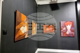 Изложба - Владимир Пенев