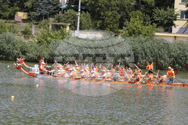 Русе- драконови лодки - фестивал