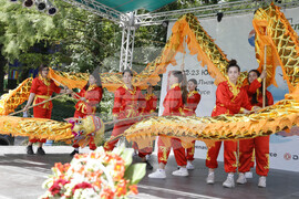 Русе- драконови лодки - фестивал