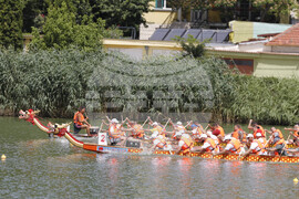 Русе- драконови лодки - фестивал