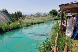 Село Ярлово - Природна школа „Благодаря“ - активности