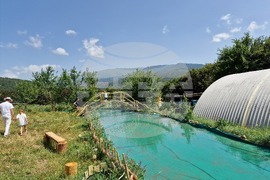 Село Ярлово - Природна школа „Благодаря“ - активности