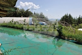 Село Ярлово - Природна школа „Благодаря“ - активности