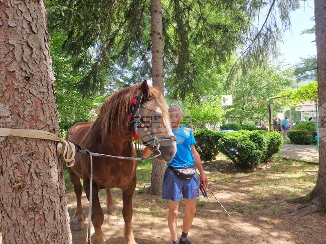 Село Орешак - български тежковозен кон - изложение