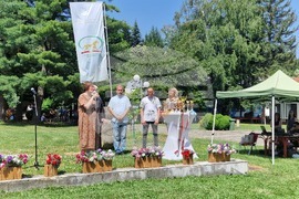 Село Орешак - български тежковозен кон - изложение