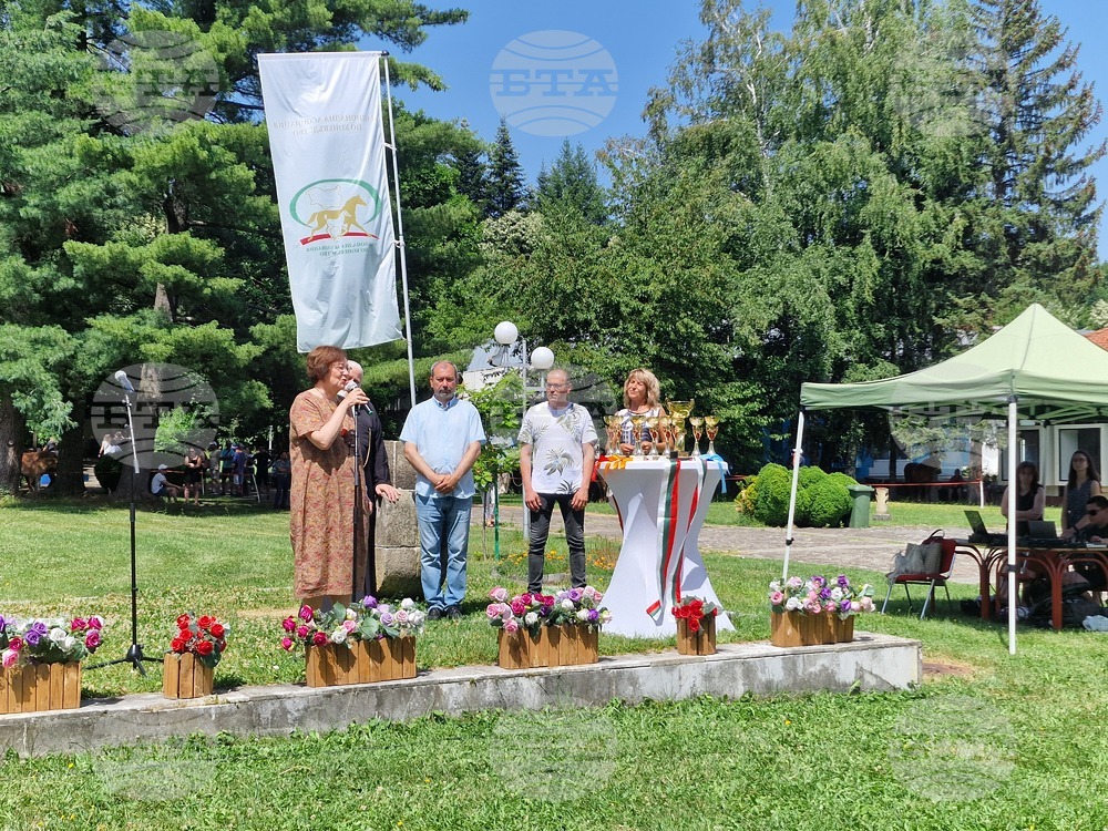Село Орешак - български тежковозен кон - изложение