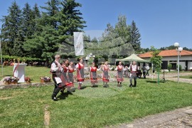 Село Орешак - български тежковозен кон - изложение