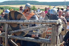 Село Неофит Рилски - парк - годишнина