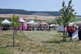 Село Неофит Рилски - парк - годишнина