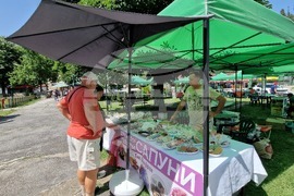 Село Смилян - „Изворен глас“ - фолклорен събор