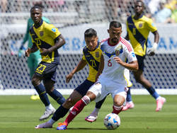 Copa America Soccer Ecuador Venezuela