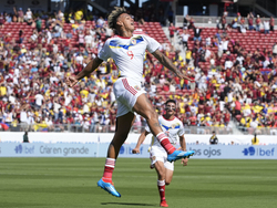 Copa America Soccer Ecuador Venezuela