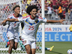 Copa America Soccer Ecuador Venezuela