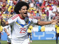 Copa America Soccer Ecuador Venezuela