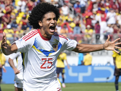 Copa America Soccer Ecuador Venezuela