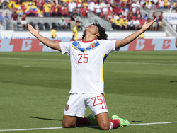 Copa America Soccer Ecuador Venezuela