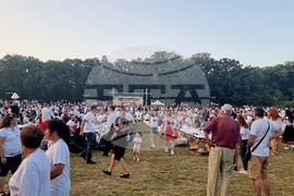 Тервел - Фестивал на бялата жътва