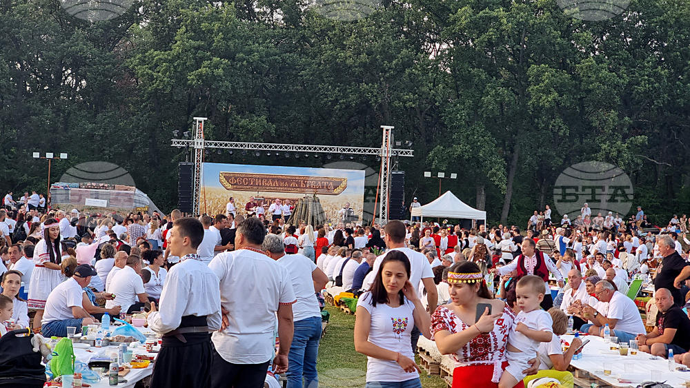 Тервел - Фестивал на бялата жътва