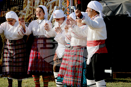 Тервел - Фестивал на бялата жътва