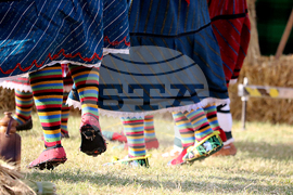 Тервел - Фестивал на бялата жътва